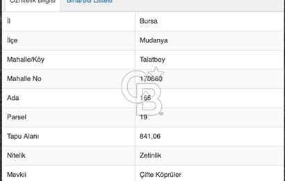 MUDANYA TRİLYE MAHALLESİ 841 m2 SATILIK ZEYTİNLİK