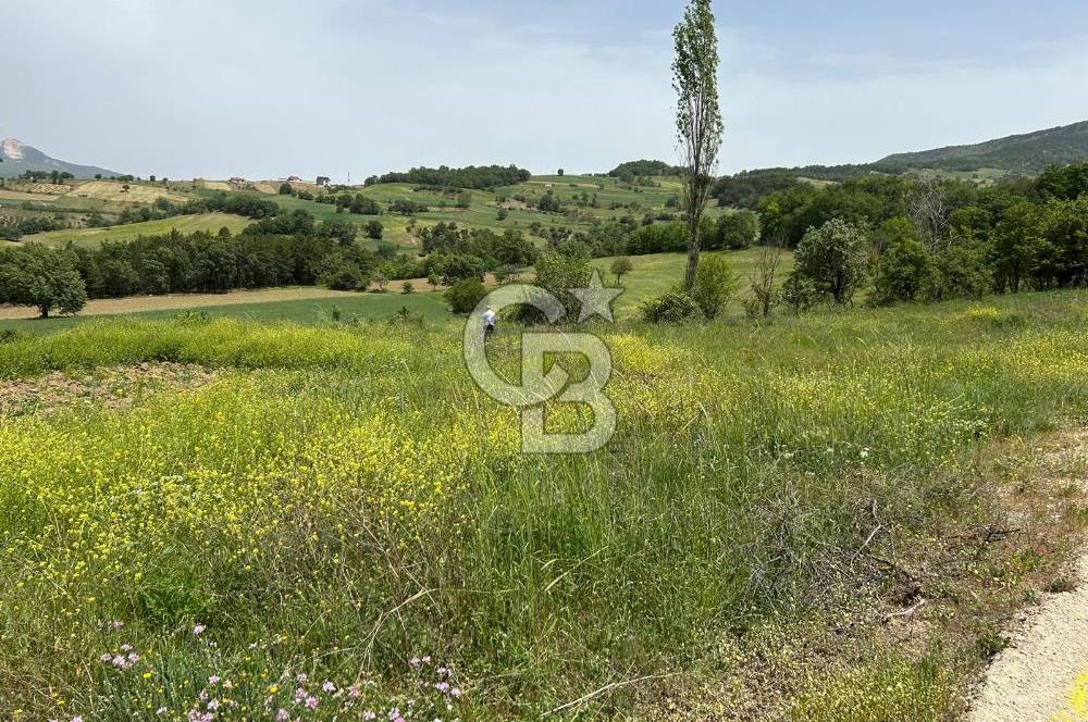 SAKARYA TARAKLI İÇDEDELER KÖYÜ’NDE 1556 m2 TARLA
