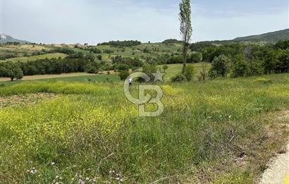 SAKARYA TARAKLI İÇDEDELER KÖYÜ’NDE 1556 m2 TARLA