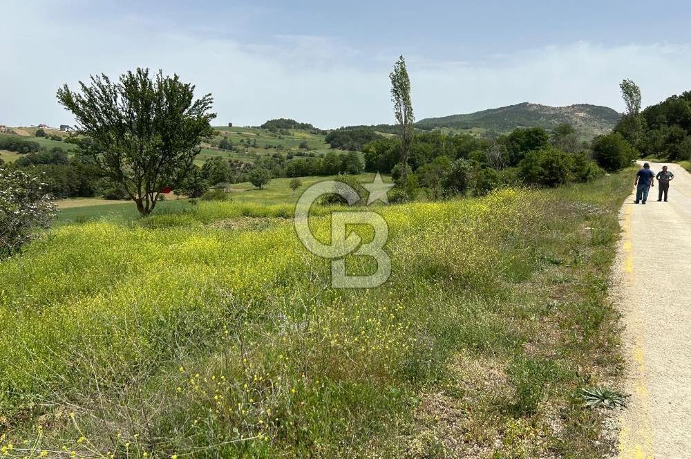 SAKARYA TARAKLI İÇDEDELER KÖYÜ’NDE 1556 m2 TARLA