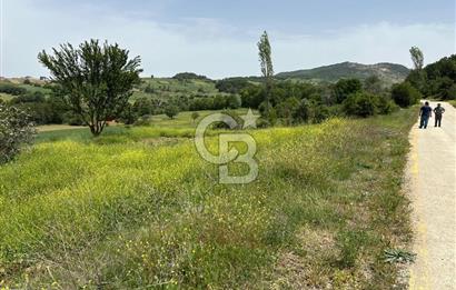 SAKARYA TARAKLI İÇDEDELER KÖYÜ’NDE 1556 m2 TARLA