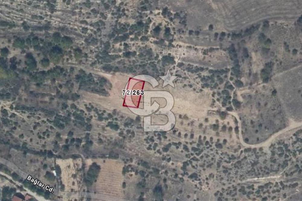 BİLECİK GÖLPAZARINDA SEÇKİN LOKASYONDA 423 m2 KONUT İMARLI ARSA