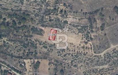 BİLECİK GÖLPAZARINDA SEÇKİN LOKASYONDA 423 m2 KONUT İMARLI ARSA