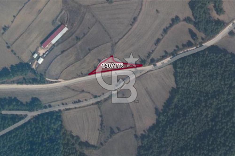 SAKARYA TARAKLI İÇDEDELER KÖYÜ’NDE 1556 m2 TARLA