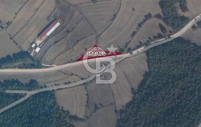 SAKARYA TARAKLI İÇDEDELER KÖYÜ’NDE 1556 m2 TARLA