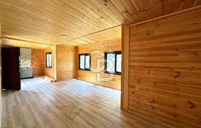 TİNY HOUSE KULLANIMLI SATILIK ZEYTİNLİK
