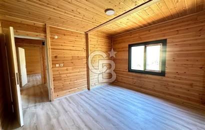 TİNY HOUSE KULLANIMLI SATILIK ZEYTİNLİK