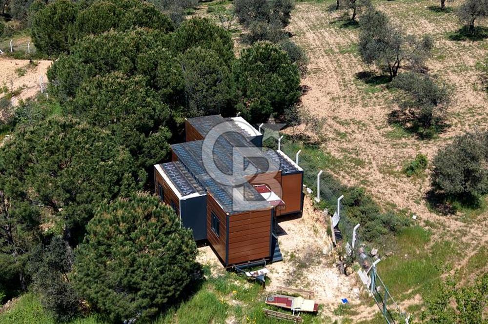 TİNY HOUSE KULLANIMLI SATILIK ZEYTİNLİK