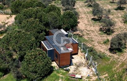 TİNY HOUSE KULLANIMLI SATILIK ZEYTİNLİK