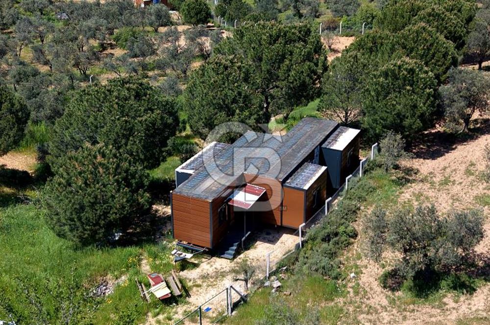 TİNY HOUSE KULLANIMLI SATILIK ZEYTİNLİK