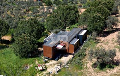 TİNY HOUSE KULLANIMLI SATILIK ZEYTİNLİK