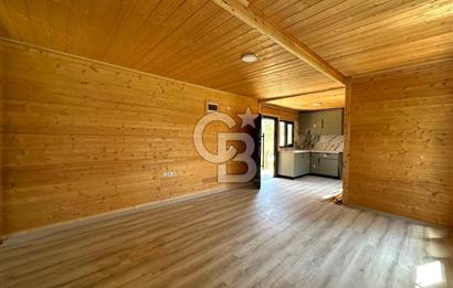 TİNY HOUSE KULLANIMLI SATILIK ZEYTİNLİK