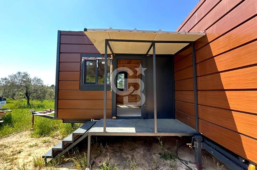 TİNY HOUSE KULLANIMLI SATILIK ZEYTİNLİK