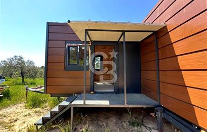TİNY HOUSE KULLANIMLI SATILIK ZEYTİNLİK