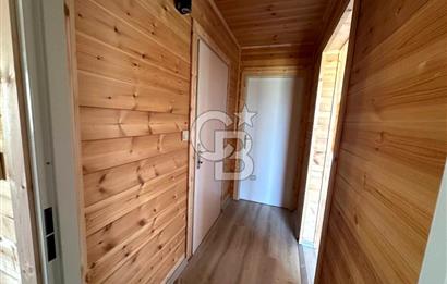 TİNY HOUSE KULLANIMLI SATILIK ZEYTİNLİK