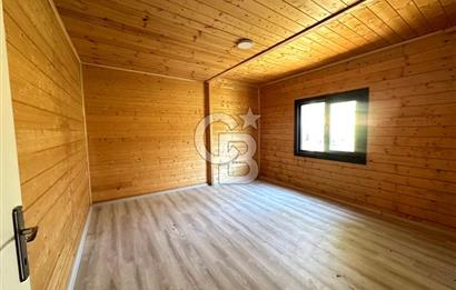 TİNY HOUSE KULLANIMLI SATILIK ZEYTİNLİK