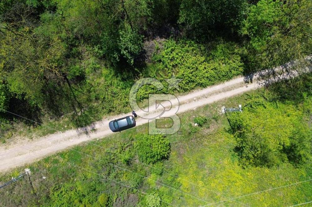 KARTEPE SEKA KAMP YANINDA DOĞA İÇİNDE 264m² SATILIK ARSA