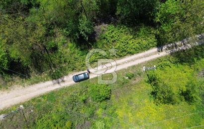KARTEPE SEKA KAMP YANINDA DOĞA İÇİNDE 264m² SATILIK ARSA