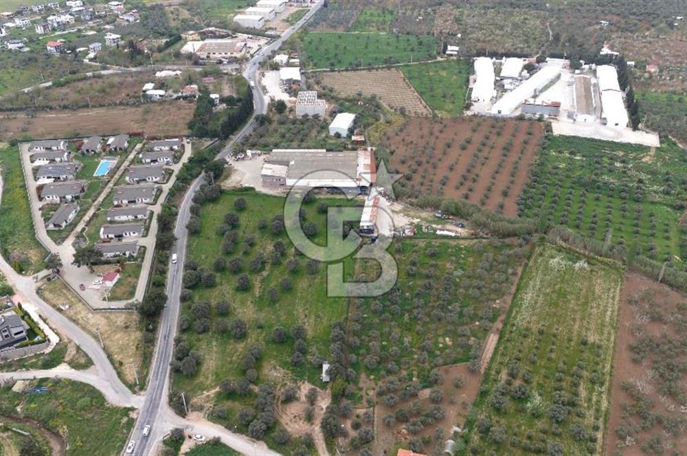 Kemalpaşa Yukarıkızılcada 15.710 m² Yola Sıfır Köşe Tarla