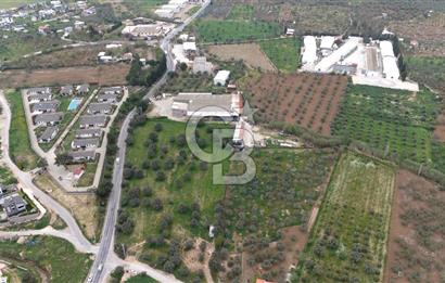 Kemalpaşa Yukarıkızılcada 15.710 m² Yola Sıfır Köşe Tarla