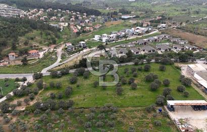 Kemalpaşa Yukarıkızılcada 15.710 m² Yola Sıfır Köşe Tarla