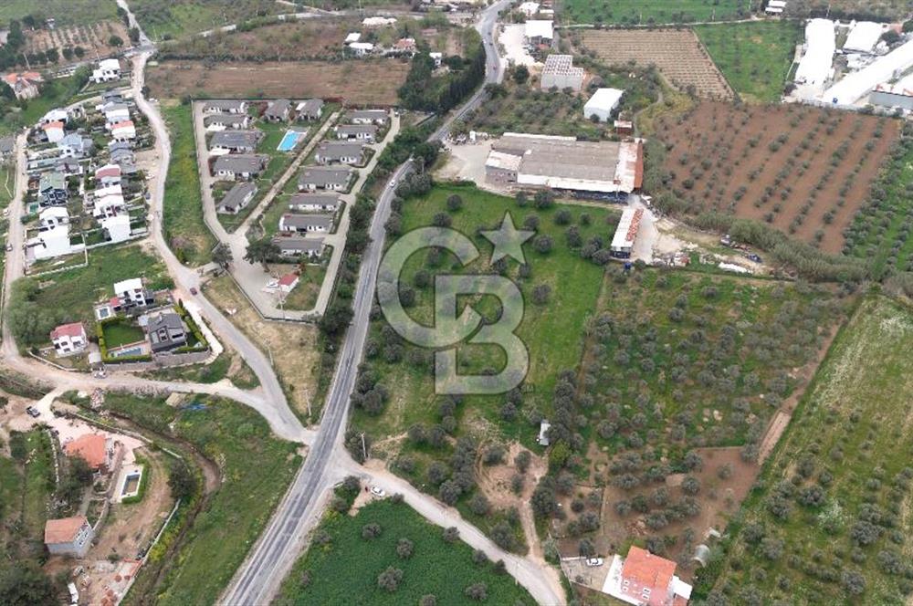 Kemalpaşa Yukarıkızılcada 15.710 m² Yola Sıfır Köşe Tarla