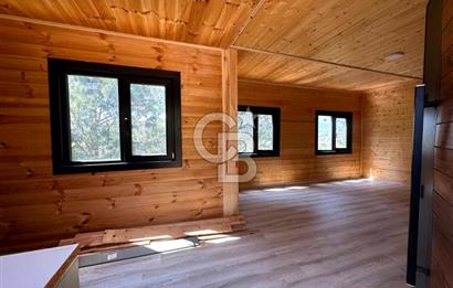 TİNY HOUSE KULLANIMLI SATILIK ZEYTİNLİK