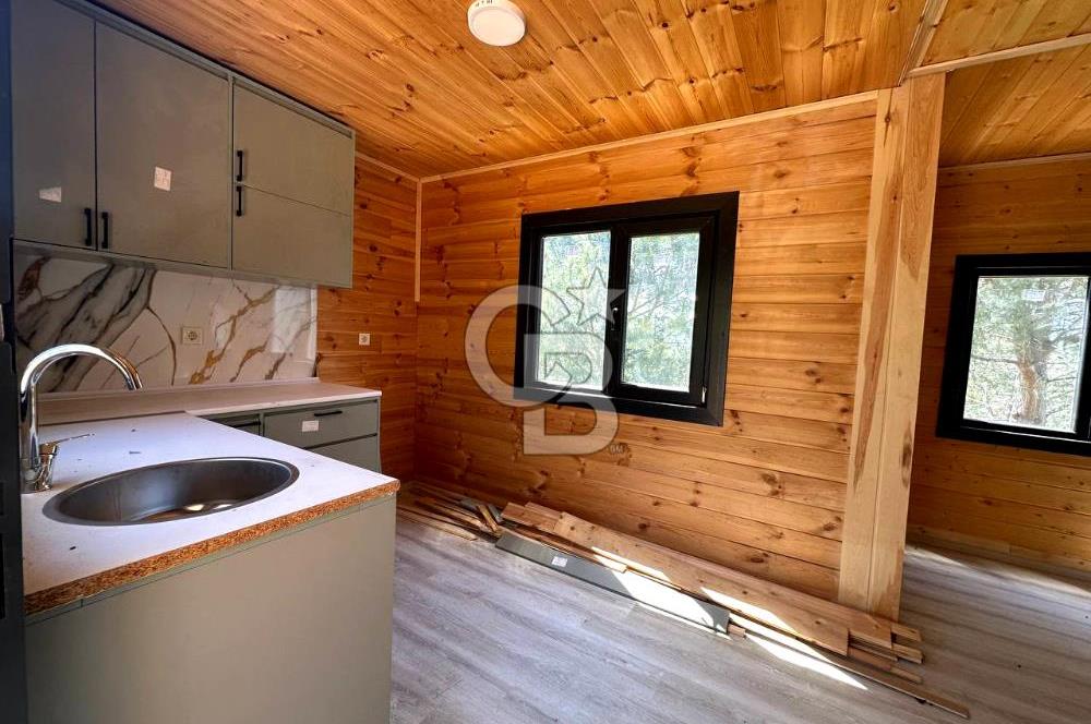 TİNY HOUSE KULLANIMLI SATILIK ZEYTİNLİK