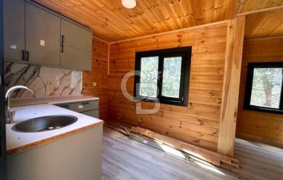 TİNY HOUSE KULLANIMLI SATILIK ZEYTİNLİK