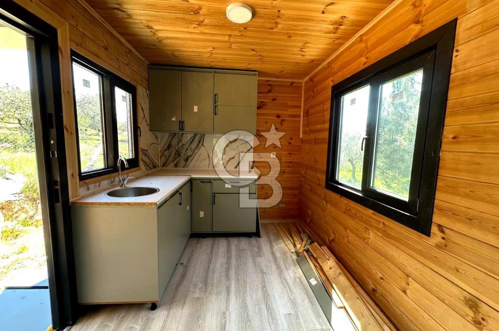 TİNY HOUSE KULLANIMLI SATILIK ZEYTİNLİK