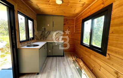 TİNY HOUSE KULLANIMLI SATILIK ZEYTİNLİK