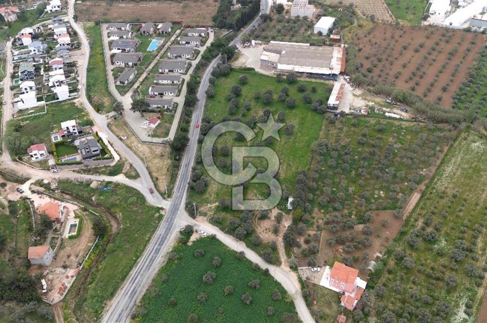 Kemalpaşa Yukarıkızılcada 15.710 m² Yola Sıfır Köşe Tarla