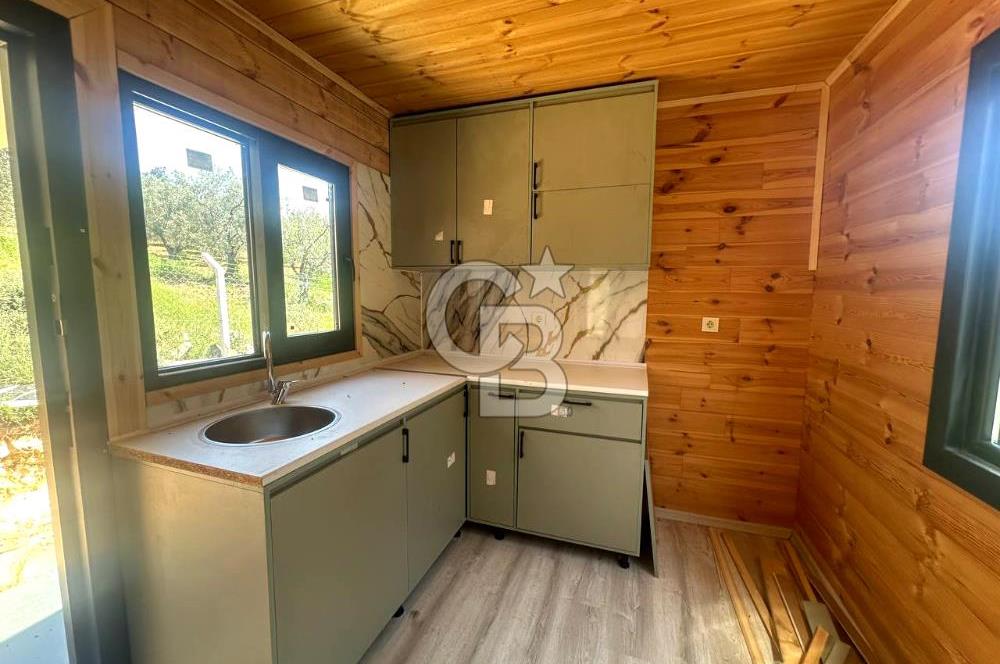 TİNY HOUSE KULLANIMLI SATILIK ZEYTİNLİK