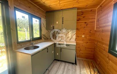 TİNY HOUSE KULLANIMLI SATILIK ZEYTİNLİK
