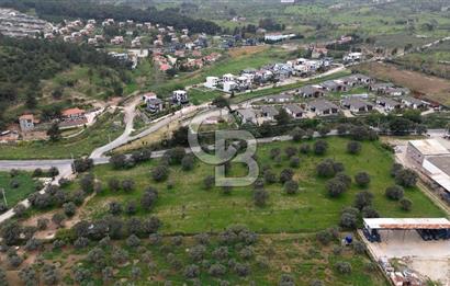 Kemalpaşa Yukarıkızılcada 15.710 m² Yola Sıfır Köşe Tarla