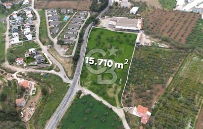 Kemalpaşa Yukarıkızılcada 15.710 m² Yola Sıfır Köşe Tarla