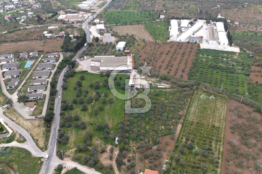 Kemalpaşa Yukarıkızılcada 15.710 m² Yola Sıfır Köşe Tarla