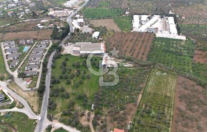 Kemalpaşa Yukarıkızılcada 15.710 m² Yola Sıfır Köşe Tarla