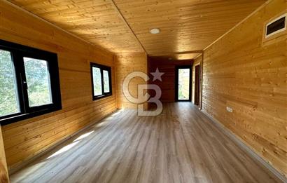 TİNY HOUSE KULLANIMLI SATILIK ZEYTİNLİK