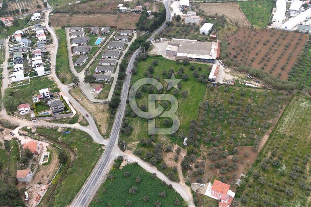 Kemalpaşa Yukarıkızılcada 15.710 m² Yola Sıfır Köşe Tarla