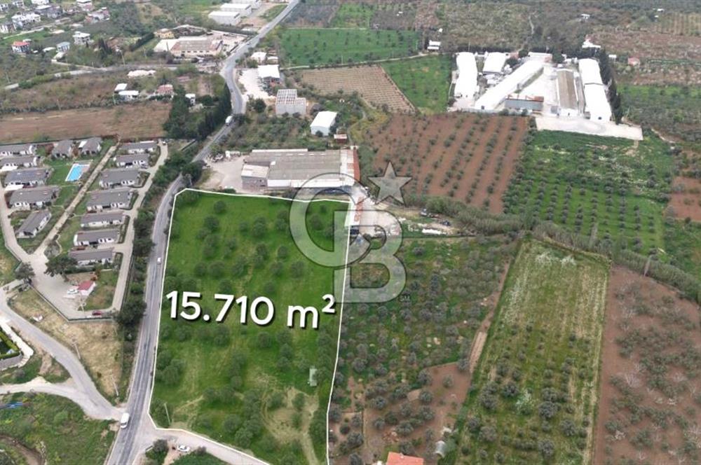 Kemalpaşa Yukarıkızılcada 15.710 m² Yola Sıfır Köşe Tarla