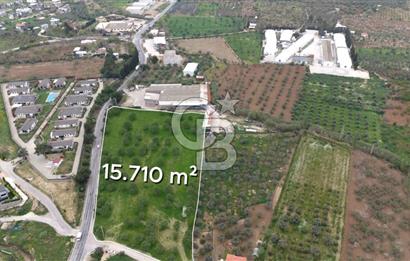 Kemalpaşa Yukarıkızılcada 15.710 m² Yola Sıfır Köşe Tarla