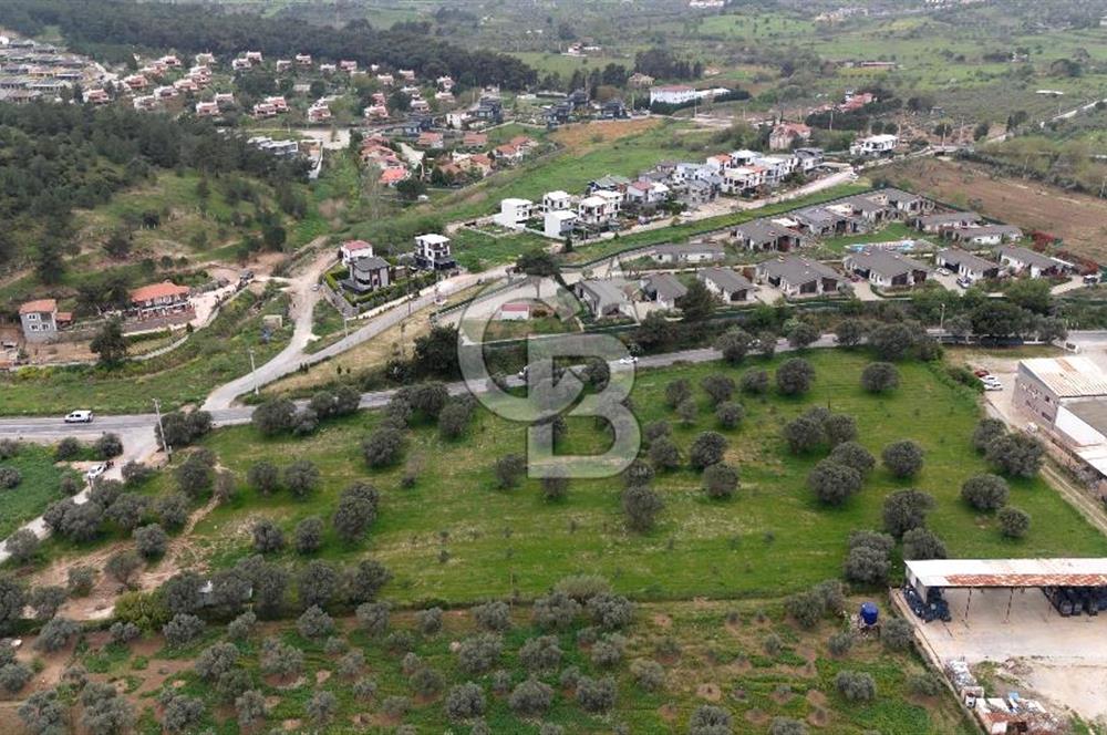Kemalpaşa Yukarıkızılcada 15.710 m² Yola Sıfır Köşe Tarla