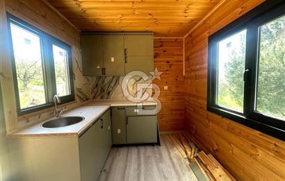 TİNY HOUSE KULLANIMLI SATILIK ZEYTİNLİK