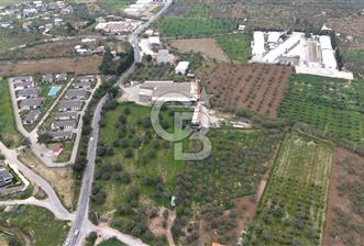 Kemalpaşa Yukarıkızılcada 15.710 m² Yola Sıfır Köşe Tarla - 11 - 346766