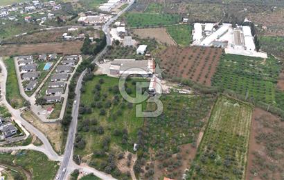 Kemalpaşa Yukarıkızılcada 15.710 m² Yola Sıfır Köşe Tarla