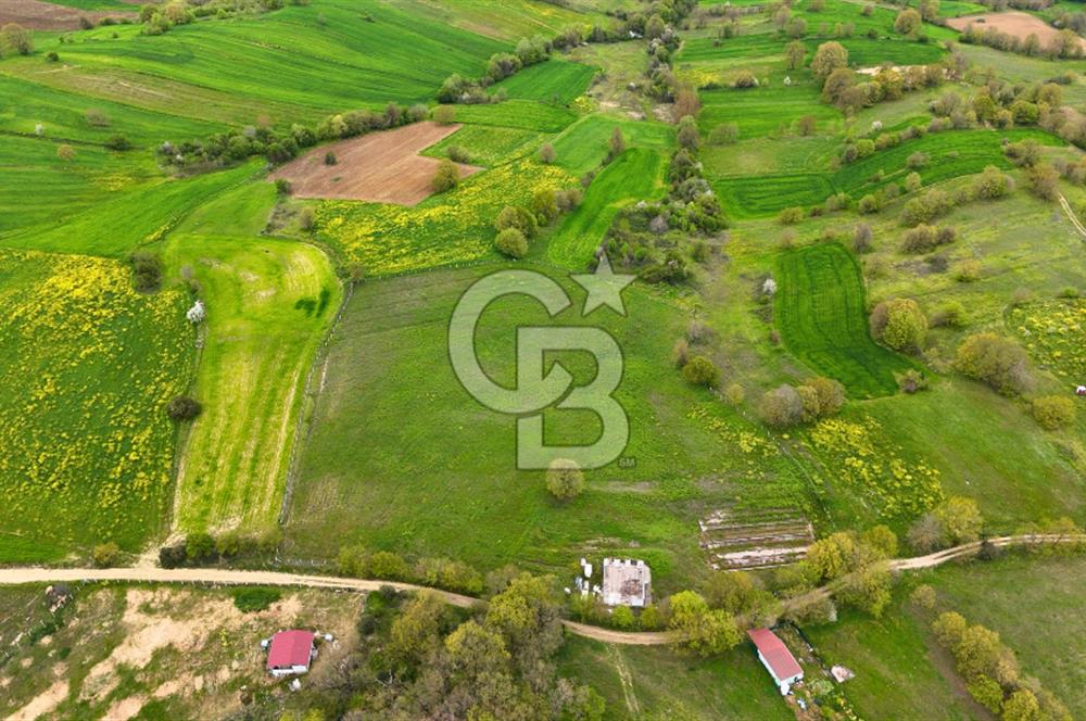 CB AKADEMİ HAKANİYE KÖYÜ YOL CEPHE SATILIK 20.046 m2 TARLA