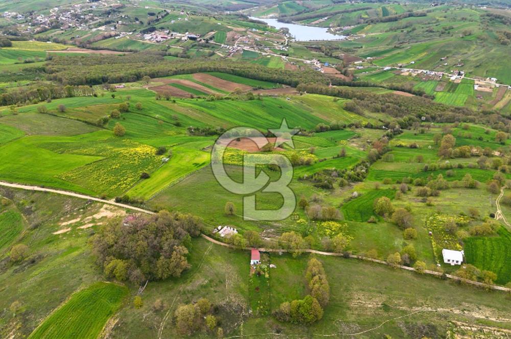 CB AKADEMİ HAKANİYE KÖYÜ YOL CEPHE SATILIK 20.046 m2 TARLA