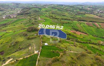 CB AKADEMİ HAKANİYE KÖYÜ YOL CEPHE SATILIK 20.046 m2 TARLA