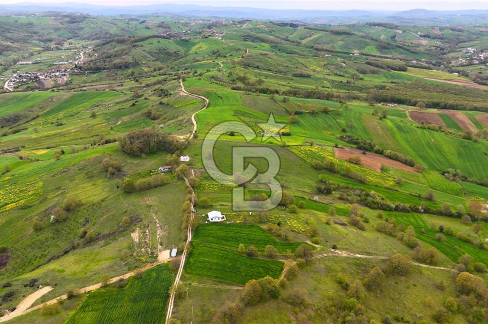 CB AKADEMİ HAKANİYE KÖYÜ YOL CEPHE SATILIK 20.046 m2 TARLA